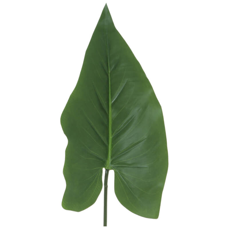 SPEAR LEAF 84CM