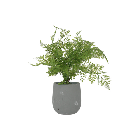 FERN POTTED PLANT 40CM