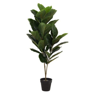 FIDDLE LEAF FIG TREE 90 CM
