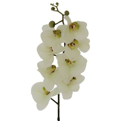 GREEN ORCHID 88CM