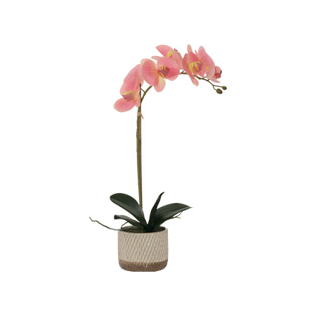 TWO TONE PINK ORCHID 48CM