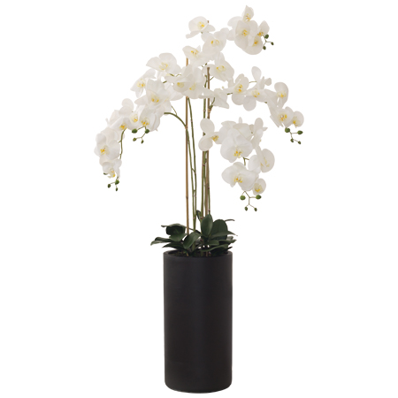 WHITE REAL TOUCH ORCHID 135CM
