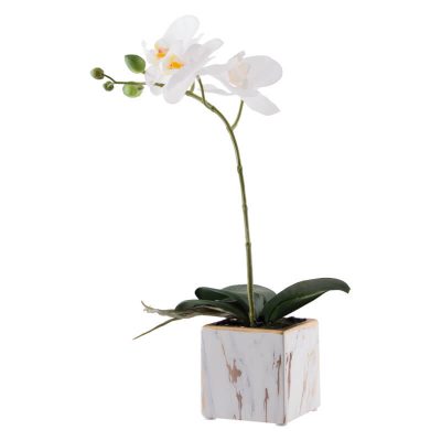 WHITE ORCHID IN MARBLE POT 33CM