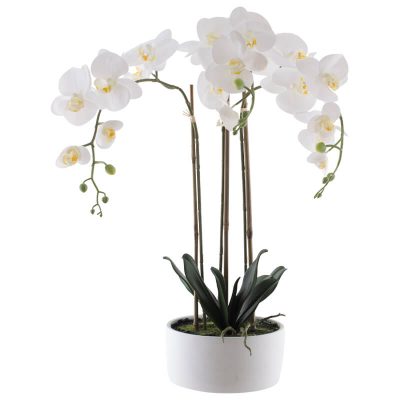 REAL TOUCH WHITE ORCHID IN POT 60CM