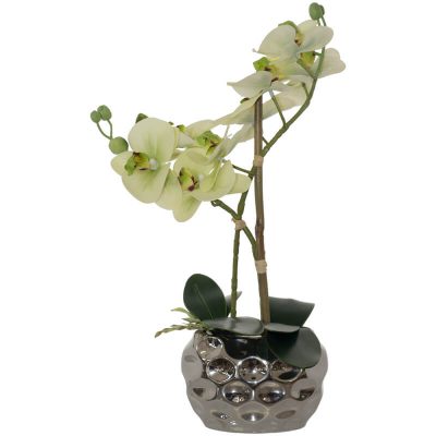 GREEN ORCHID SILVER POT 33CM