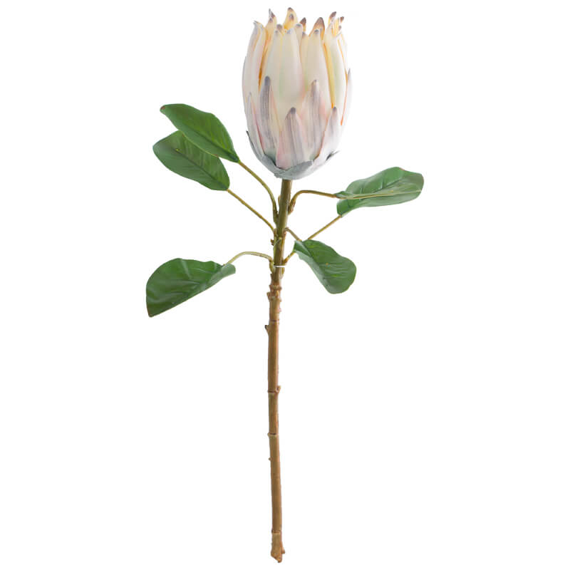 LIGHT PEACH PROTEA 57CM - Image 2