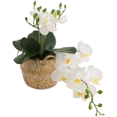 REAL TOUCH PHALAENOPSIS IN POT 29