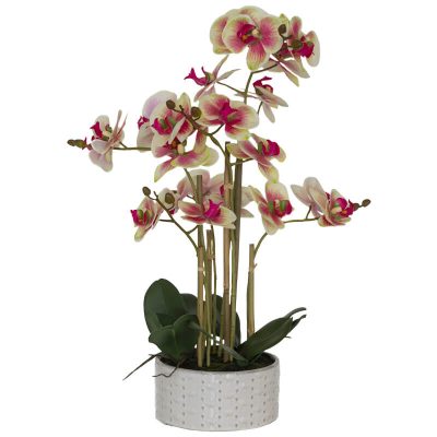 G/R REAL TOUCH ORCHID 58CM