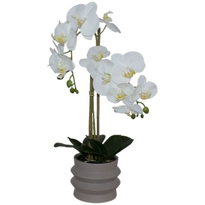 WHITE REAL ORCHID RIPPLE POT 58CM
