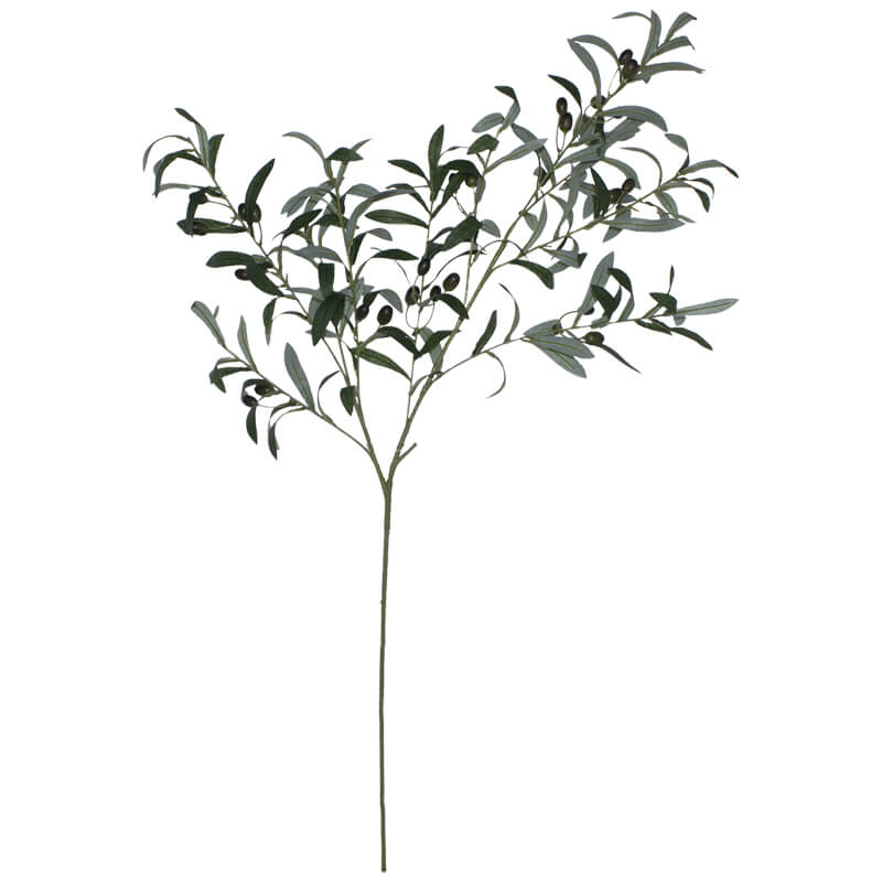 OLIVE BRANCH 100CM - Image 2