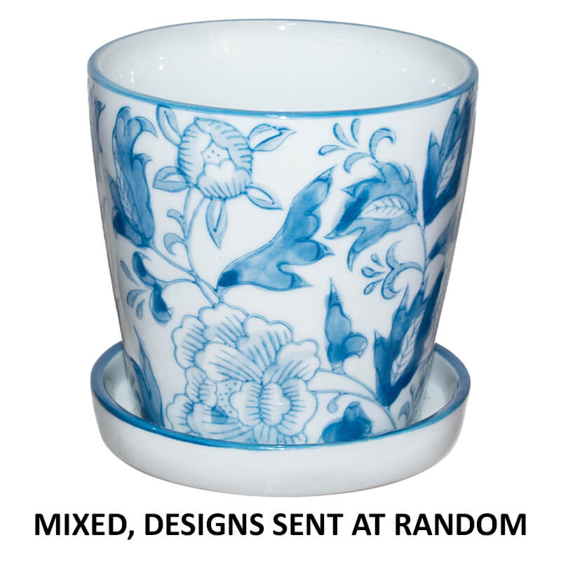 PAROS PLANTER MIXED 11CM TRAY - Image 3