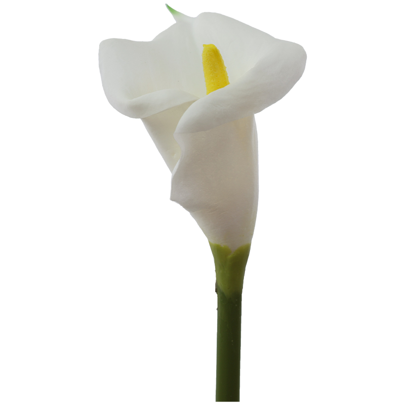 WHITE ARUM LILY 67CM