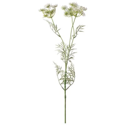 QUEEN ANNE LACE STEM 85CM