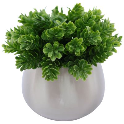 GREEN SPRIG WHITE POT 15X10CM