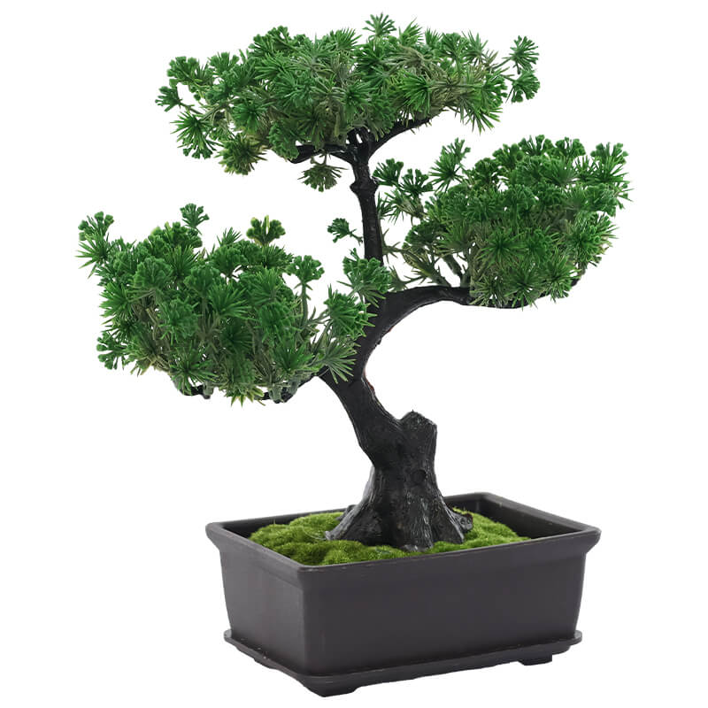 BONSAI PLANT WITH PLASTIC POT 26CM - Image 2