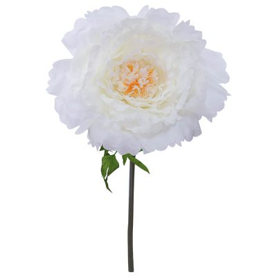 CREAM PEONY STEM 140CM HIGH 55CM DIAMETER