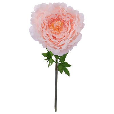 PEACH PEONY STEM 130CM HIGH 42CM DIAMETER