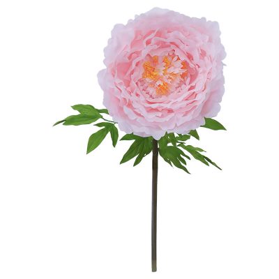LIGHT PINK PEONY STEM 130CM HIGH 42CM DIAMETER