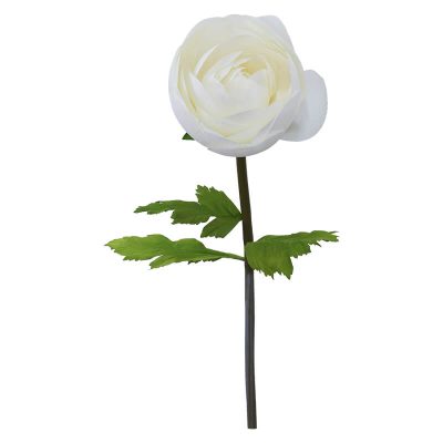 CREAM RANUNCULUS STEM 125CM HIGH 37CM DIAMETER