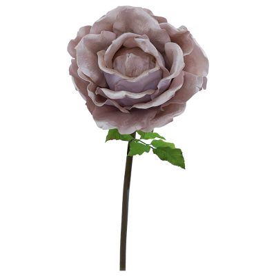 CHAMPAGNE VELVET ROSE STEM 136CM HIGH 40CM DIAMETER