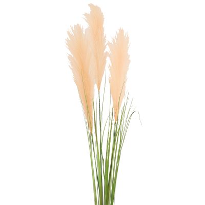 PAMPAS STEM 90CM PEACH