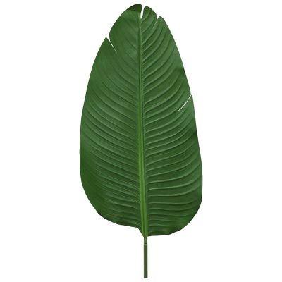 LIGHT GREEN GIANT BANANA LEAF 97C