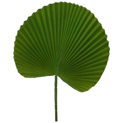 GIANT DARK GREEN FAN LEAF 80CM