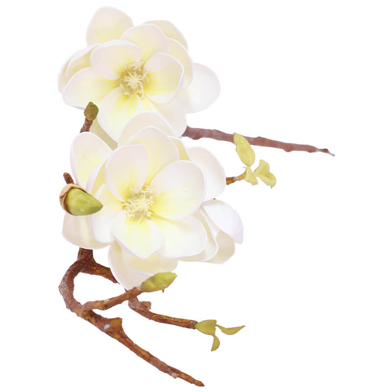 WHITE MAGNOLIA STEM 75CM - Image 2