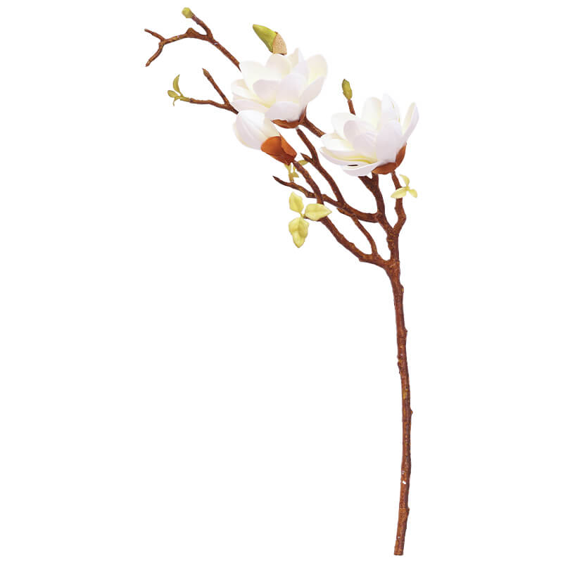 WHITE MAGNOLIA STEM 75CM - Image 3
