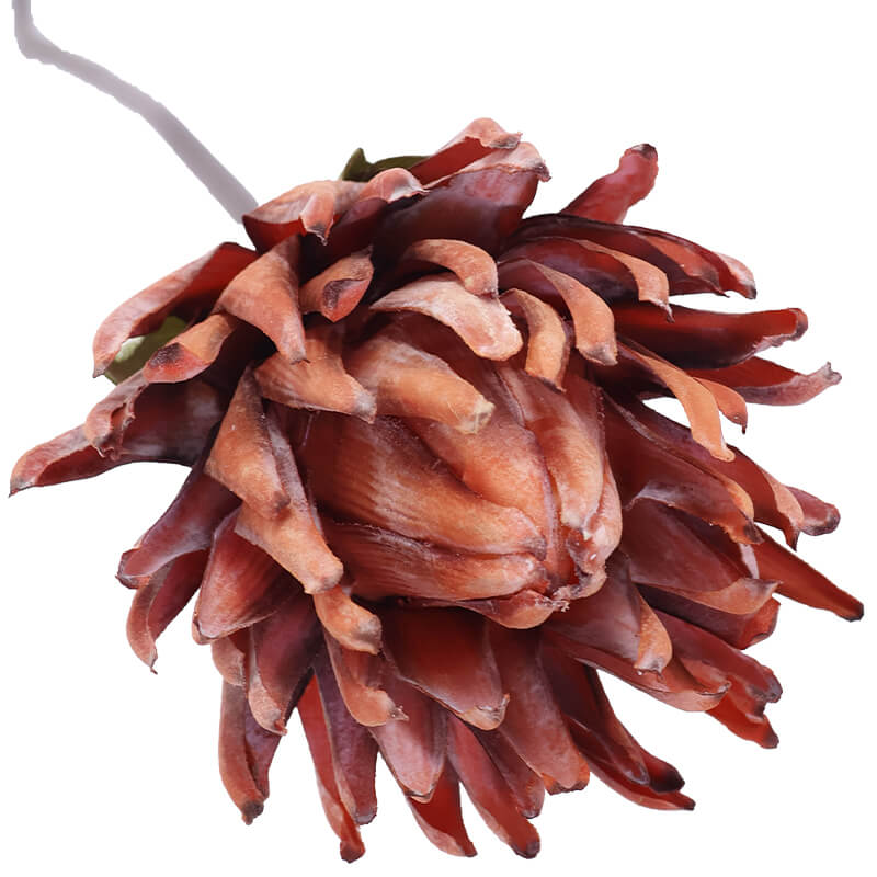 RUSTIC ORANGE PROTEA STEM 85CM