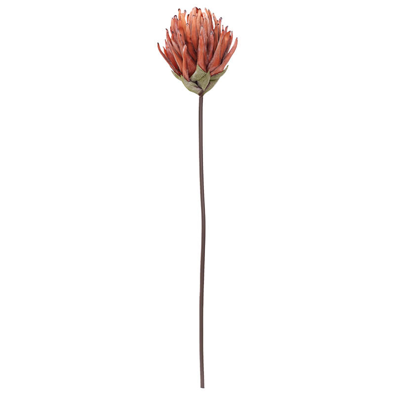 RUSTIC ORANGE PROTEA STEM 85CM - Image 2