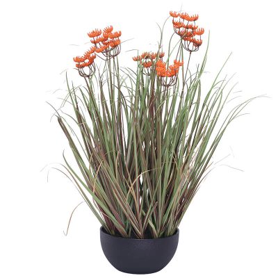 DARK ORANGE LACE FLOWER YOUNG GRASS 71CM