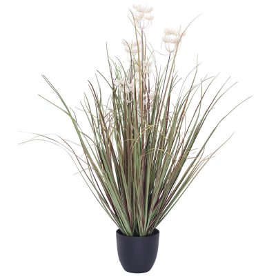 WHITE LACE FLOWER YOUNG GRASS 72CM
