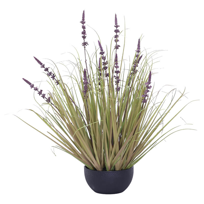 PURPLE LAVENDER YOUNG GRASS 74CM