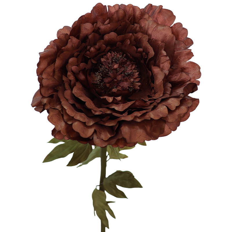 DARK BROWN PEONY 130CM