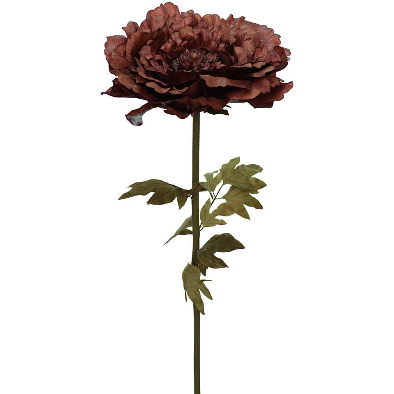 DARK BROWN PEONY 130CM - Image 2