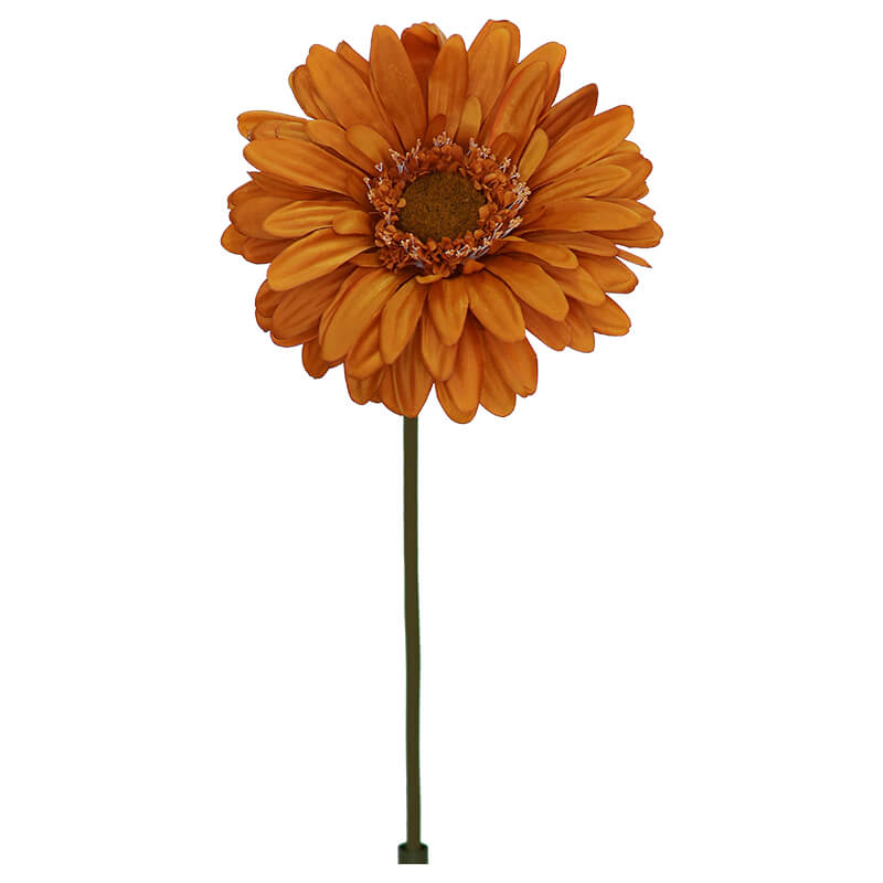 RUST DAISY 103CM