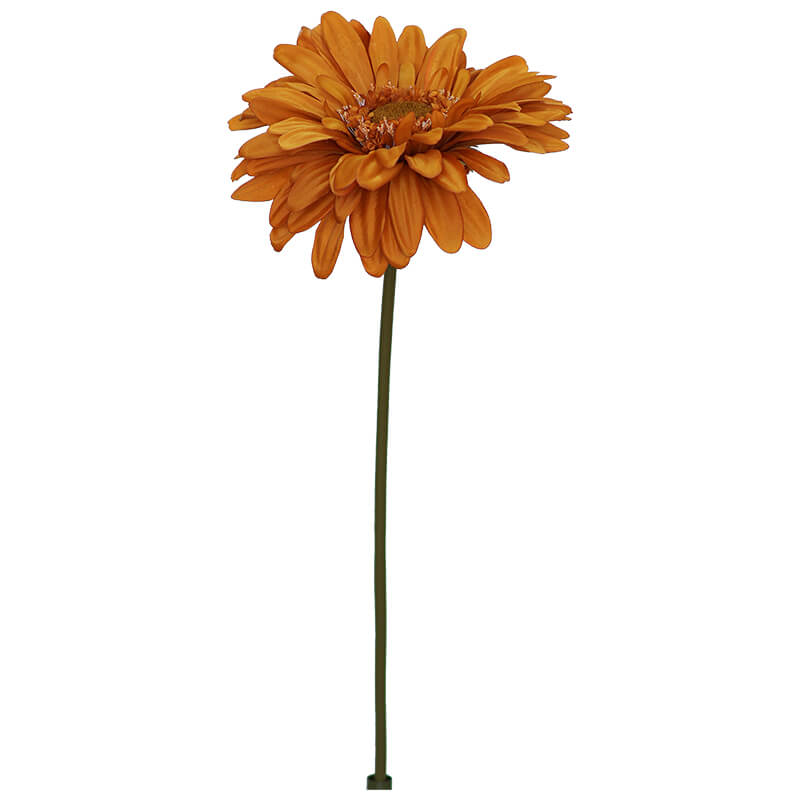 RUST DAISY 103CM - Image 2