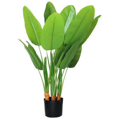 BANANA LEAF PLANT IN POT 1.3M