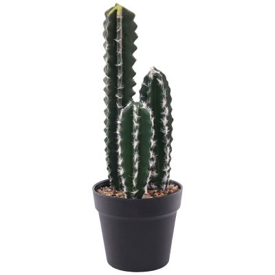 GREEN CEREUS CACTUS IN POT 40CM