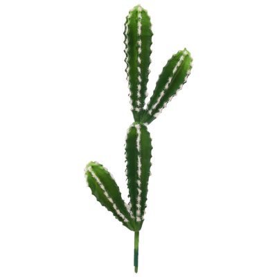 GREEN CEREUS CACTUS STEM 48CM