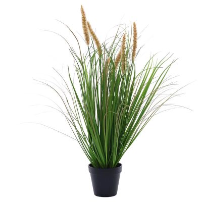 SPRING FOXTAIL GRASS IN POT 70CM