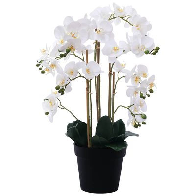 WHITE REAL TOUCH ORCHID 72CM