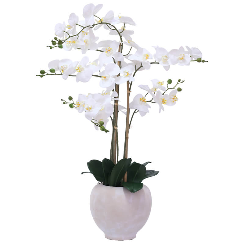 WHITE REAL TOUCH ORCHID 90CM
